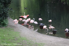 Zoo Dortmund 310711- IMG_4190