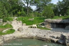 Zoo-Hannover-280510-IMG_2276-0967