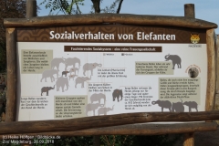Zoo Magdeburg_260918_IMG_8253_1337
