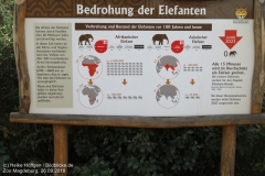 Zoo Magdeburg_260918_IMG_8272_1374