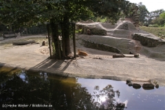 Zoo-Rheine-120909IMG_3206