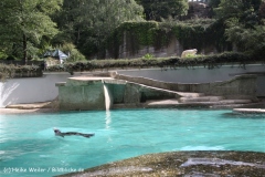 Zoo Wuppertal 040910 - IMG_1316