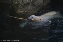 Zoo_Bremerhaven_180515_IMG_5709