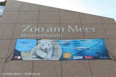 Zoo_am_Meer_Bremerhaven_210714_copy_Heike_Weiler_IMG_2891_5429