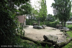 Zoo Duisburg 210810 - IMG_0486_1895
