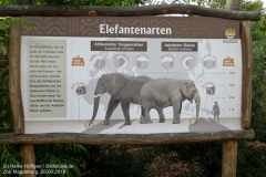 Zoo Magdeburg_260918_IMG_8240_1328