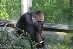 Zoo Wuppertal 040910 - IMG_2036-2